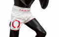 Шорты для бокса Fairtex BS1918 L