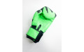 Боксерские перчатки Raja model 3 green 12 oz