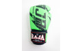 Боксерские перчатки Raja model 3 green 12 oz