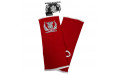 Голеностопы Top King TKANG-01 red L