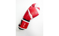 Боксерские перчатки Raja model 3 red 16 oz