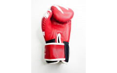 Боксерские перчатки Raja model 3 red 16 oz