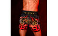 Шорты для бокса Fairtex BS1921 Volcano M