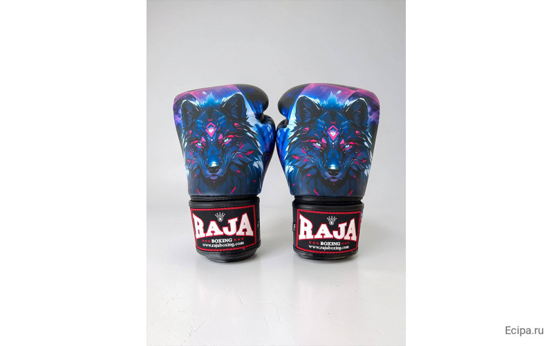 Боксёрские перчатки Raja Urban Predator 10 oz