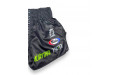Шорты для бокса Fairtex BS1924 Racer black S