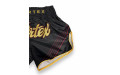Шорты для бокса Fairtex BS1925 Mr.X - L