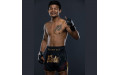 Шорты для бокса Fairtex BS1925 Mr.X - L