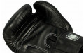Боксерские перчатки Twins Special BGVL3 black 16 oz