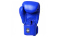 Боксерские перчатки Twins Special BGVL3 blue 16 oz