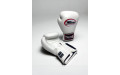 Боксерские перчатки Twins Special BGVL3 white 16 oz