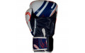 Боксерские перчатки Twins Special FBGVL4-67 Yant 10 oz