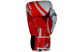 Боксерские перчатки Twins Special FBGVL4-67 Yant 10 oz