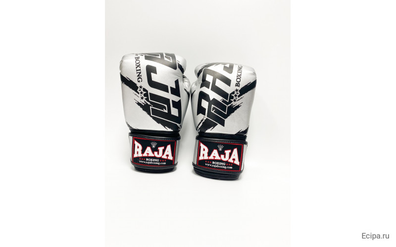 Боксерские перчатки Raja model 3 silver 14 oz