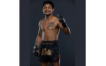 Muay Thai Искусство Восьми Конечностей 